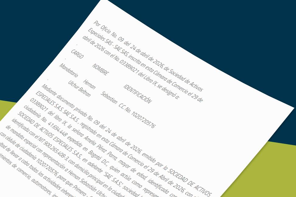Caso Lili Pink. Imagen Registro Único Empresarial Social -RUES
