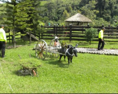 Extincion de dominio y su aplicacion en Colombia. Imagen Dijin