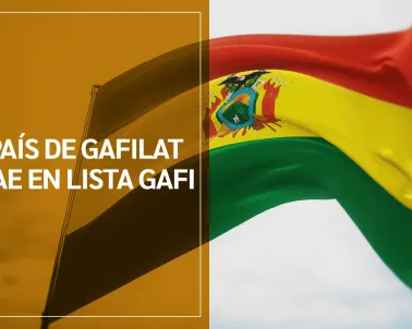 Bolivia cae en lista gris del GAFI. Imagen Freepik